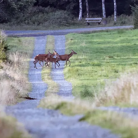 Ferienapartment Landwohnung Laura *