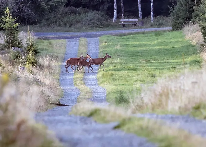 Ferienapartment Landwohnung Laura *